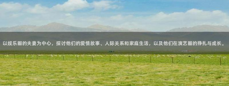 恒盛娱乐体育凯捷平台招商：以娱乐圈的夫妻为中心，探讨他们的爱情故事、人际关系和家