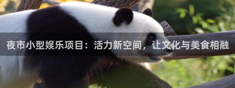 恒盛娱乐3官网登录：夜市小型娱乐项目：活力新空间，让文化与美食相融