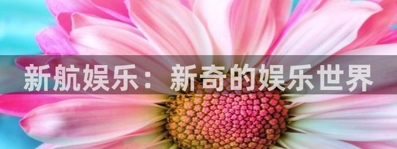 恒盛娱乐体育官网：新航娱乐：新奇的娱乐世界