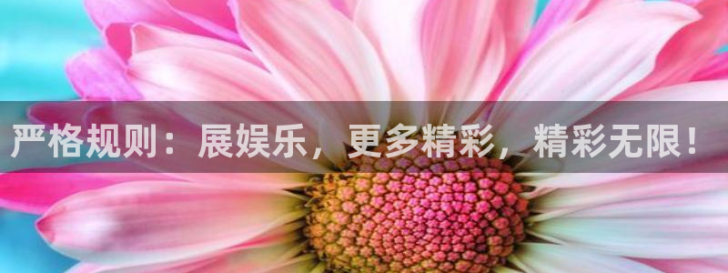 佛山市南海恒盛娱乐机电仪器有限公司：严格规则：展娱乐，更多精彩，精彩无限！