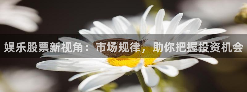 南宫恒盛娱乐官网下载链接：娱乐股票新视角：市场规律，助你把握投资机会