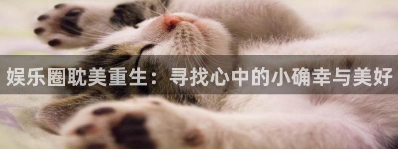 恒盛娱乐.ccmpc29官网版下载：娱乐圈耽美重生：寻找心中的小确幸与美好