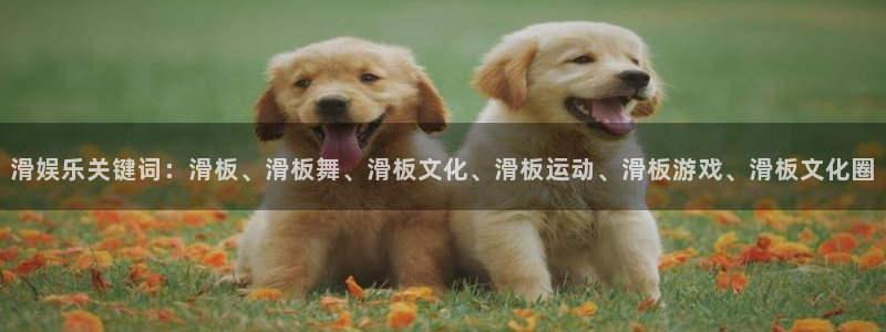 恒盛娱乐现在优惠多少：滑娱乐关键词：滑板、滑板舞、滑板文化、滑板运动、滑板游戏、