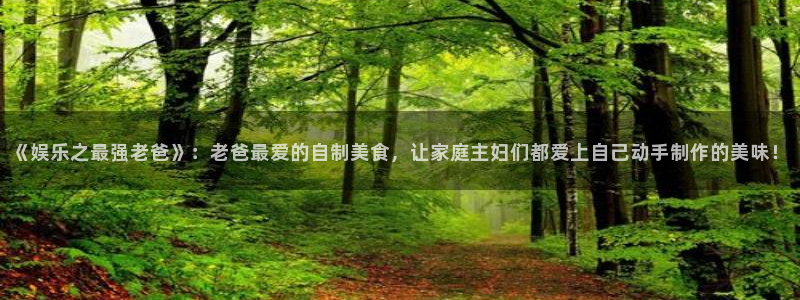 恒盛娱乐手机版下载：《娱乐之最强老爸》：老爸最爱的自制美食，让家庭主妇们都爱上自