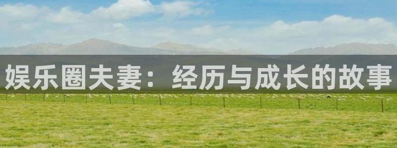 佛山市南海恒盛娱乐机电仪器有限公司：娱乐圈夫妻：经历与成长的故事