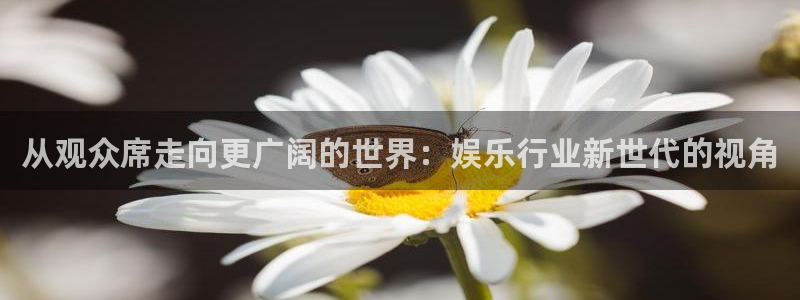 恒盛娱乐2代理注册：从观众席走向更广阔的世界：娱乐行业新世代的视角