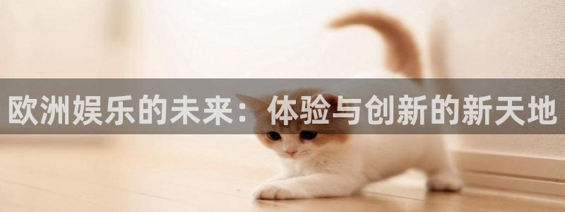 恒盛娱乐平台主管：欧洲娱乐的未来：体验与创新的新天地