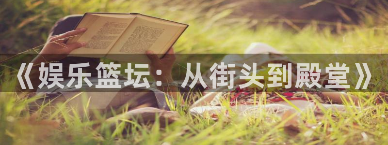 恒盛娱乐体育官网登录：《娱乐篮坛：从街头到殿堂》