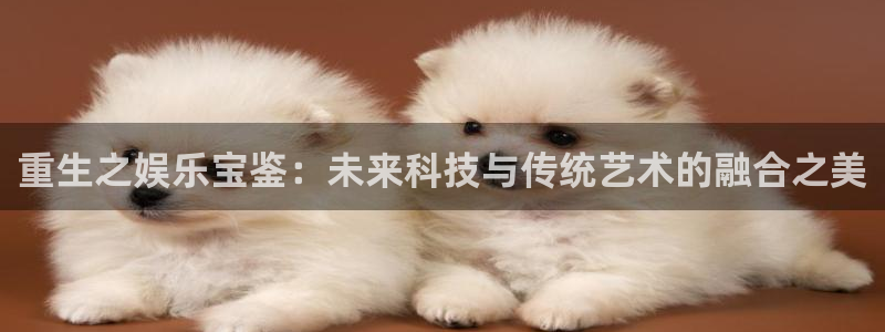 恒盛娱乐平台注册：重生之娱乐宝鉴：未来科技与传统艺术的融合之美