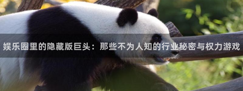 恒盛娱乐平台官方网站：娱乐圈里的隐藏版巨头：那些不为人知的行业秘密与权力游戏