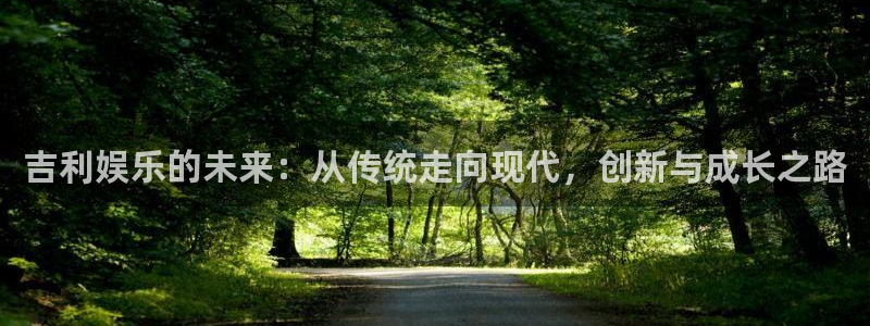 恒盛娱乐平台在线注册：吉利娱乐的未来：从传统走向现代，创新与成长之路
