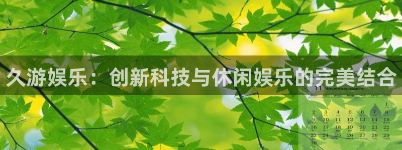 恒盛娱乐平台开户链接：久游娱乐：创新科技与休闲娱乐的完美结合