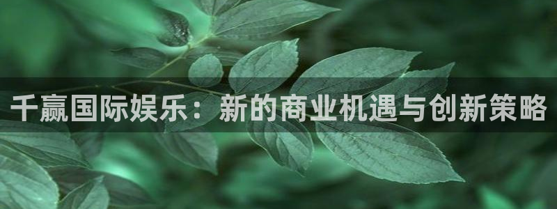 恒盛娱乐平台官方入口：千赢国际娱乐：新的商业机遇与创新策略