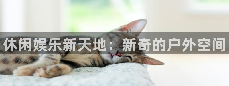 恒盛娱乐在线下载：休闲娱乐新天地：新奇的户外空间