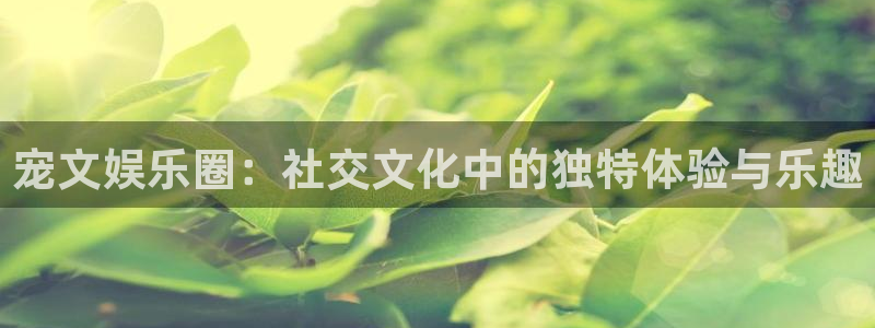恒盛娱乐下载链接是多少：宠文娱乐圈：社交文化中的独特体验与乐趣