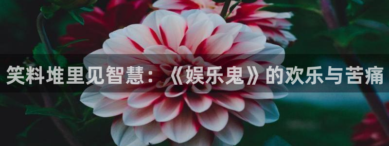 恒盛娱乐电子有限公司：笑料堆里见智慧：《娱乐鬼》的欢乐与苦痛