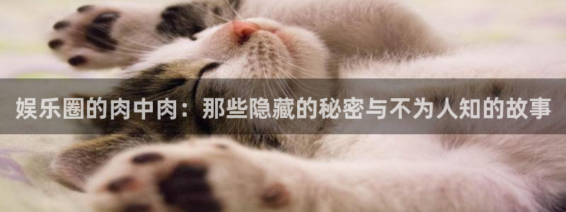 恒盛娱乐平台官网入口下载：娱乐圈的肉中肉：那些隐藏的秘密与不为人知的故事