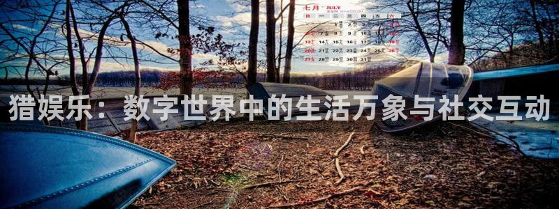 恒盛娱乐f平台注册：猎娱乐：数字世界中的生活万象与社交互动