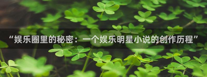 恒盛娱乐平台下载入口：“娱乐圈里的秘密：一个娱乐明星小说的创作历程”