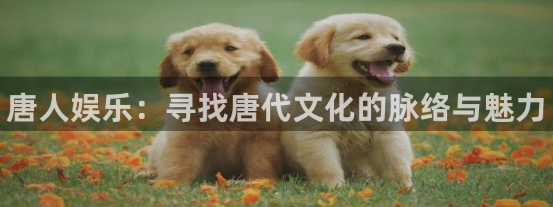 恒盛娱乐3平台登录注册：唐人娱乐：寻找唐代文化的脉络与魅力