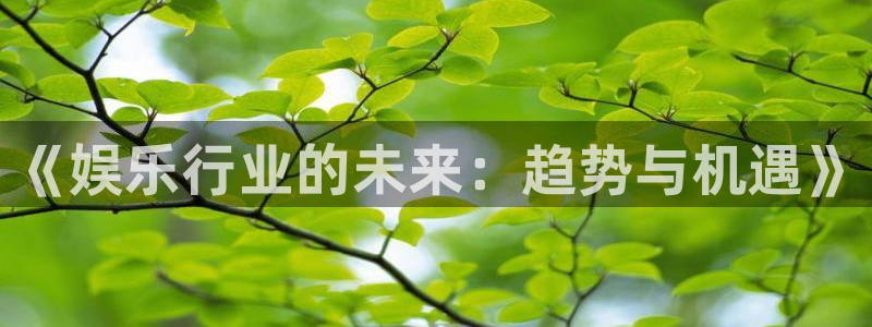 恒盛娱乐注册网页版：《娱乐行业的未来：趋势与机遇》